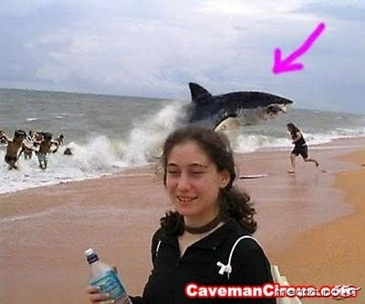 10_greatest_animal_photobombs_of_all_time_8
