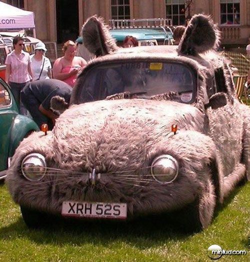 bunny-car