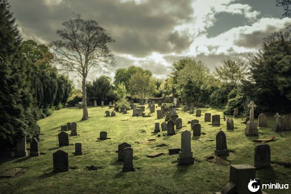 Vida após a morte: Qual a sua opinião a respeito?