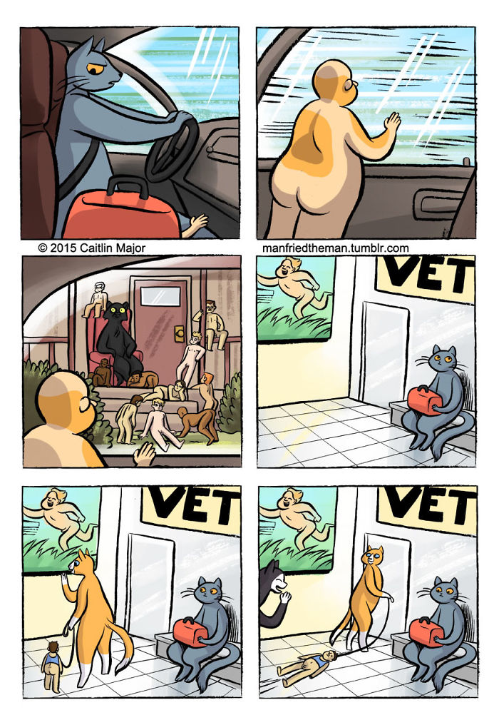 15 Comics que revelam como seria se os gatos trocassem de lugar com os humanos