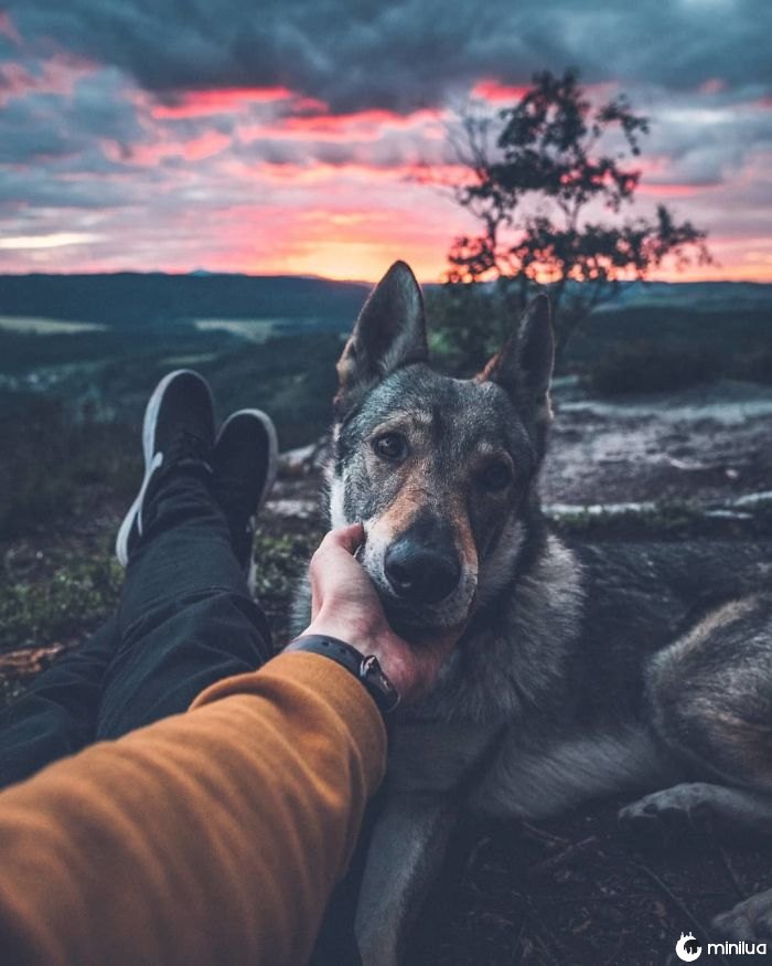 20+ fotos de um homem acariciando seu cão que vão animar o seu dia