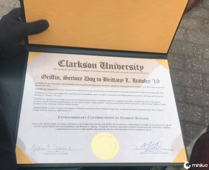 Cachorro recebe diploma de mestrado nos Estados Unidos