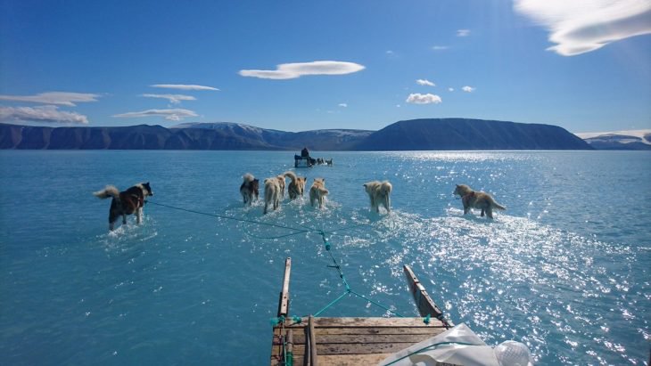Esta imagem impressionante mostra o derretimento do Pólo Norte, as devastações do aquecimento global!
