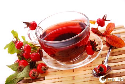 7 benefícios surpreendentes para a saúde do chá de Rosa Mosqueta - Minilua