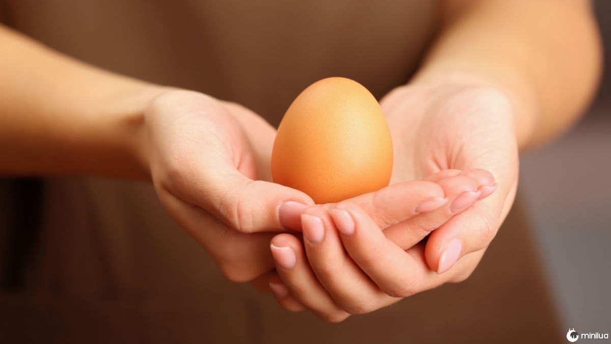 Você não pode comer ovos se tiver diabetes? Mito ou verdade?