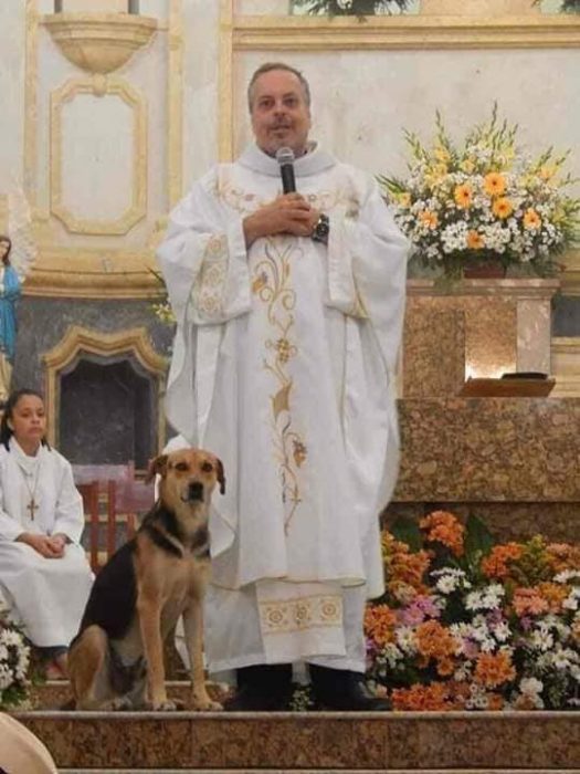 Padre leva cachorros de rua para a missa para serem adotados pelos paroquianos