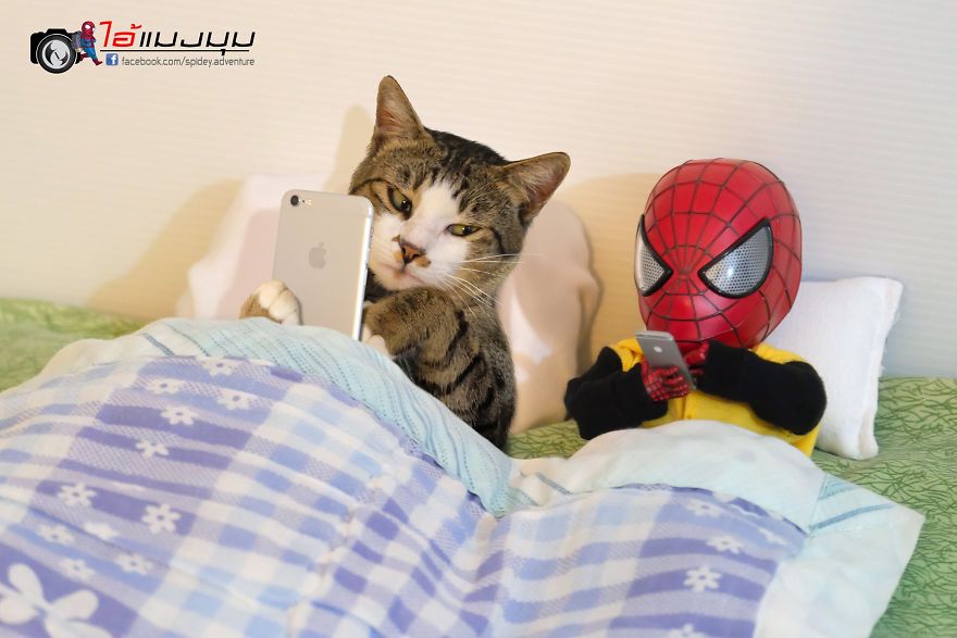 Artista tailandês faz gatos posarem com boneco do Homem-Aranha para criar cenários hilariantes