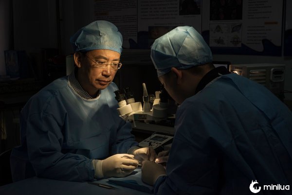 Ren Xiaoping full body transplant