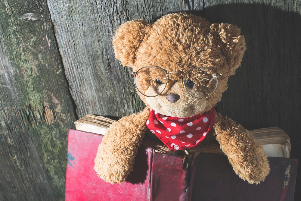 Conheça a curiosa a história do ursinho Teddy